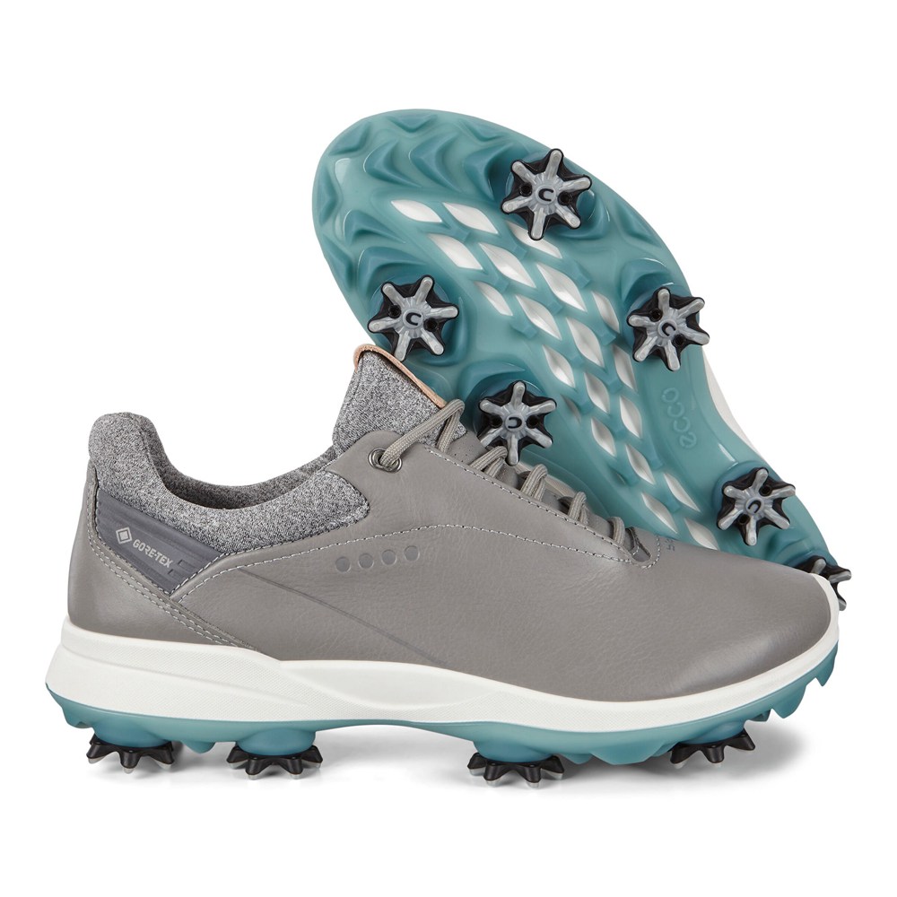 ECCO Womens Golf Shoes Grey - Biom G3 - BDC-279406